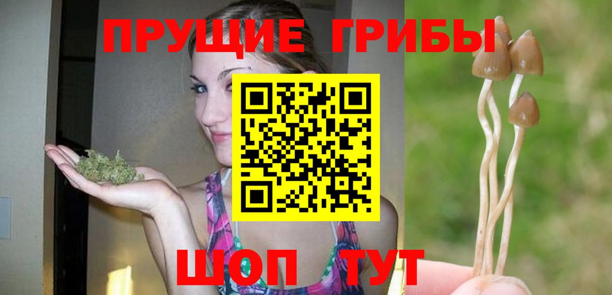 Псилоцибиновые грибы GOLDEN TEACHER  Вход с VPN  как найти закладки  Томск 